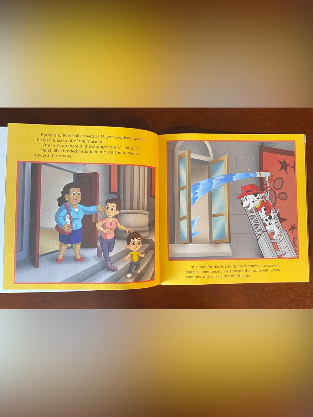 Kids Paperback Set - Paw Patrol Fire Rescue & The Berenstain Bears - Picture 8 of 9